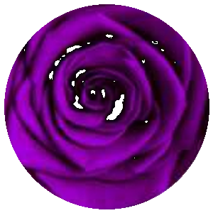 Viola Profondo