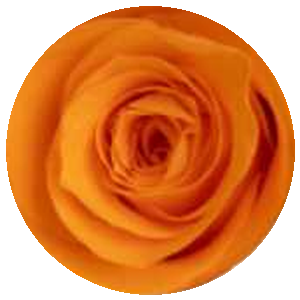 Arancio Retrò