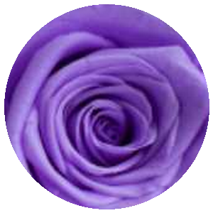 Viola Brillante